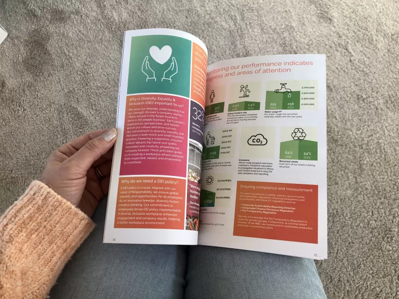 Engelse tekstschrijver